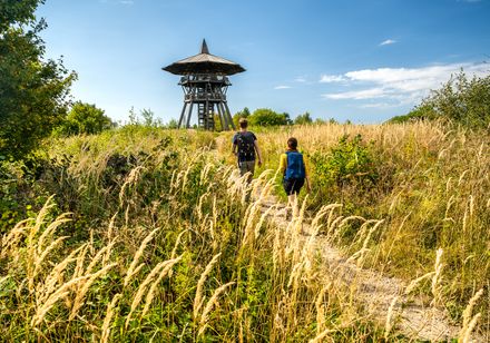People walking to the Eggeturm tower at Preußischer Velmerstot