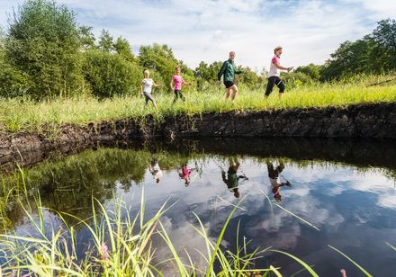 Walking at the Moorstich in Horn-Bad Meinberg
