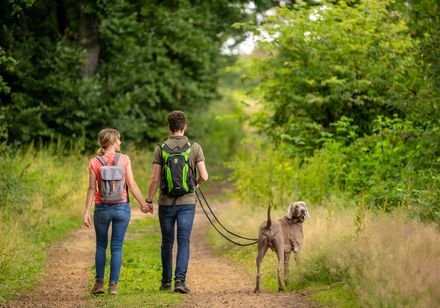 Couple walking on a country lane with their dog